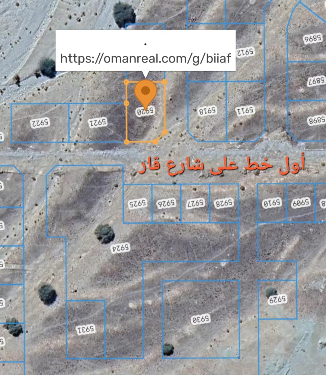 الموقع